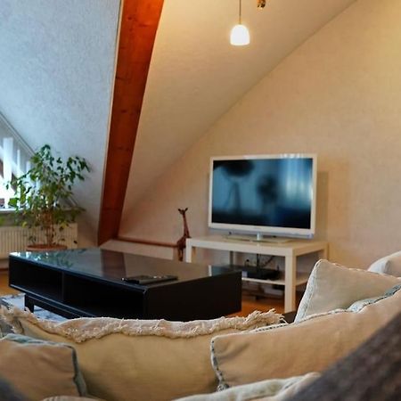 Grosse, Helle Wohnung Fuer Bis Zu 6 Personen Weinheim Bagian luar foto